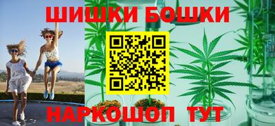 ешки Новодвинск