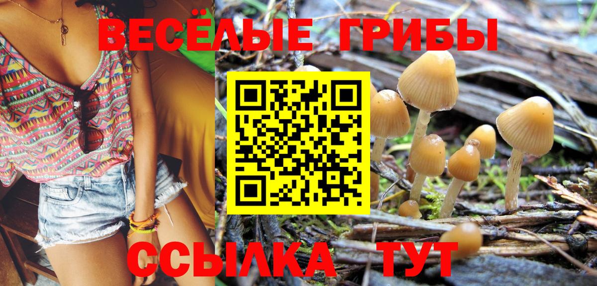Псилоцибиновые грибы ЛСД  Вход с VPN  Ростов Великий 